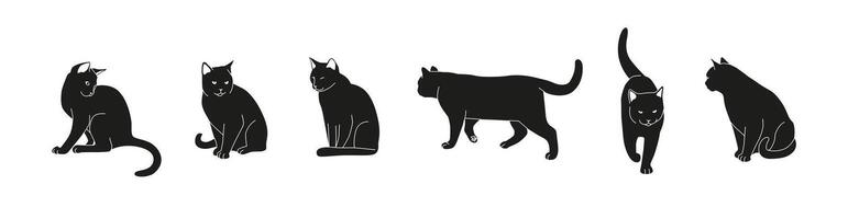 Set of black cats in different poses isolated on white background. Feline minimalistic illustration for Halloween. Sitting and walking cat vector