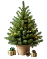 A small christmas tree in a pot with presents png