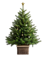 A small christmas tree in a basket png