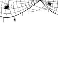 Halloween Spider Web Frame vector