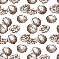 Hand drawn walnut sketch illustration. Seamless pattern walnut kernel, whole walnut, shell sketch icon. Fresh organic food, oil. Black and white nut drawing. Isolated on white background. vector