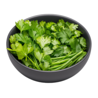 A bowl filled with vibrant cilantro leaves placed on a kitchen surface, perfect for enhancing flavors in various recipes png