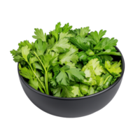 A generous serving of vibrant, green cilantro leaves displayed in a sleek black bowl, ideal for garnishing meals png