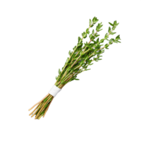 A fresh bundle of thyme resting on a transparent background, ideal for cooking, garnish, or herbal remedies png
