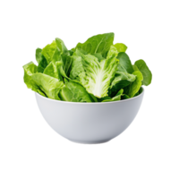 A bowl filled with vibrant green lettuce leaves awaiting preparation for salads or other healthy dishes in daylight png