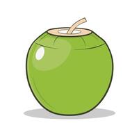 Whole and Fresh Green Coconut Illustration in Flat Style vector