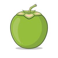 Tropical Green Coconut and Drinking Coconut Flat Color Illustration vector