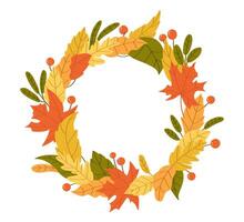 Autumn wreath with colorful leaves and berries vector
