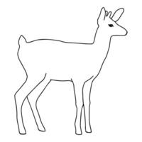 Deer icon. Outline illustration of deer icon for web vector