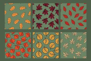 illustration of a set of patterns with autumn leaves. vector