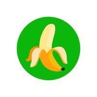 illustration of a banana isolate on white vector