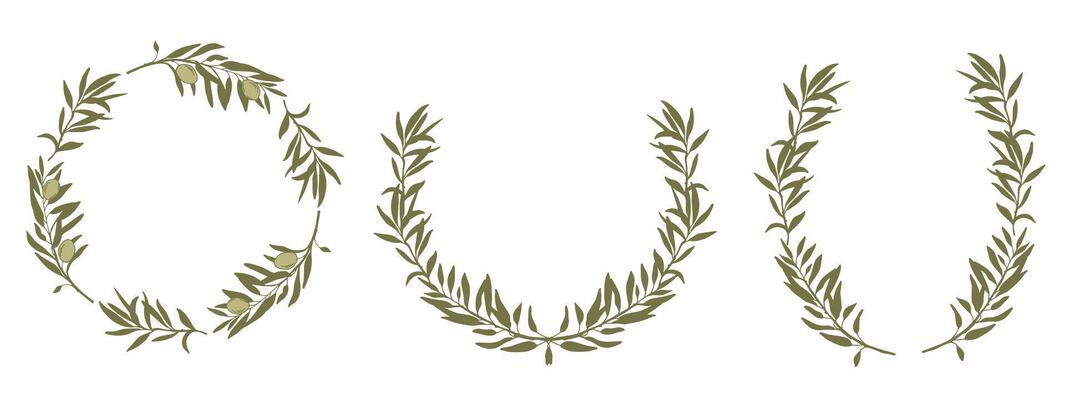 Set of Olive Wreaths. Hand drawn colored isolated Botanical illustration. Can be used for cards, emblem, logos and food design.