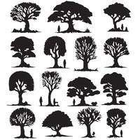 various deciduous trees silhouettes on the white background vector