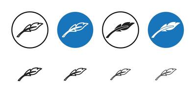 Feather icon Thin line art collection vector