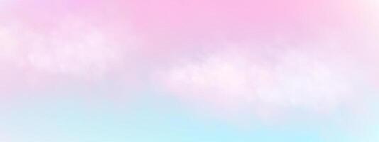 Panoramic abstract pink blue sky background. Skyscape with fluffy clouds. Gradient fantasy paradise background. vector