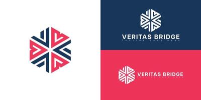 Modern hexagon initial letter VB or BV logo in blue-red color isolated on multiple background colors. The logo is suitable for business and consulting company logo design inspiration templates. vector