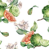 Jasmine branch and ripe fruits watercolor seamless pattern isolated on white. Bergamot and grapefruit drawing. Floral summer print with slices citrus hand drawn for packaging, wrapping paper, textile. vector