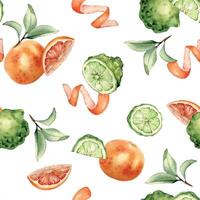 Citrus grapefruit and bergamot fruits slices and leaves on watercolor seamless pattern isolated. Hand drawn ripe plants with bright orange green peel in botanical sketch style for textile, package. vector