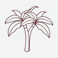 Detailed Banana Tree Illustration for Botanical Artwork vector