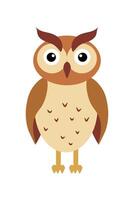 Owl in flat style design on a white background, featuring bold colors and simple shapes vector