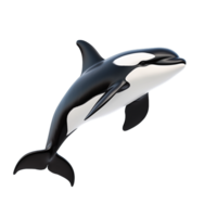 Realistic 3D rendering of an orca whale swimming with a streamlined body on a transparent background png