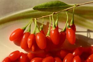 goji berries are shown in a bowl photo