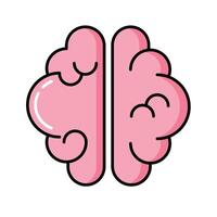 Brain learning icon, Outline symbol icon. Editable stroke. vector