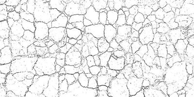 a black and white image of a cracked wall, cracked concrete of grunge texture background with cracks, a white textured background with a white texture and a black grunge effect, vector