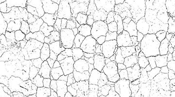 a black and white grunge texture of a cracked wall, cracked concrete of grunge texture background with cracks, a white textured background with a white texture and a black grunge effect, vector