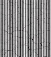 a black and white striped background with lines, grunge effect line, a black and white background with a line that has been torn up. vector