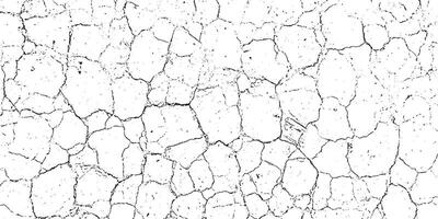a white and black background with cracks, a black and white grunge texture of a cracked wall, cracked concrete of grunge texture background with cracks, a white textured background vector