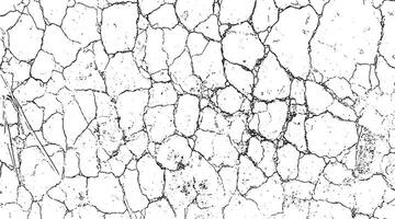 a black and white image of cracked concrete, ca white textured background with a white texture and a black grunge effect, vector