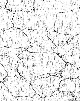 a black and white grunge texture background, a black and white drawing of a cracked wall, a black and white textured background with the words grunge on it grunge effete,