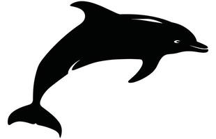 Elegant Ocean Creature Dolphin Stock Design vector