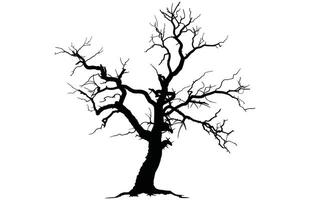 Scary Bare tree vector