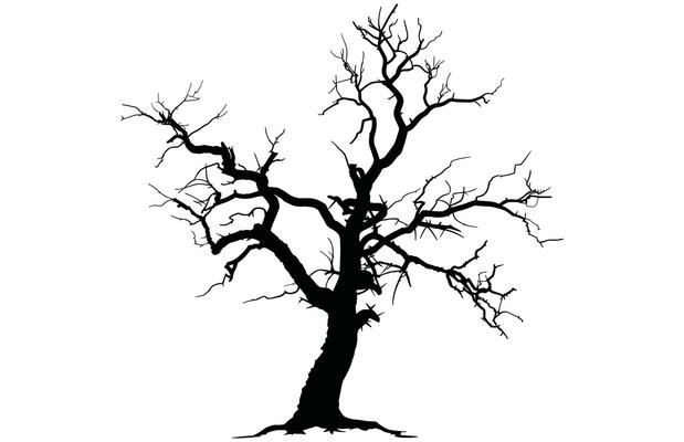 Scary Bare tree