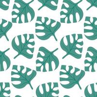 seamless background, pattern with monstera leaves on white. vector
