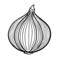 Shallot Outline Illustration on White Background vector
