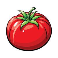 Tomato Illustration for Print and Digital Projects vector