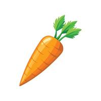Carrot Illustration for Print and Web Designs vector