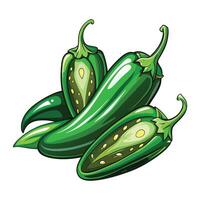 Jalapeno Illustration for Print and Web Designs vector