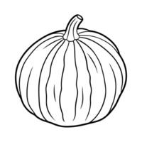 Spaghetti Squash Outline Illustration on White Background vector