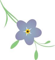Forget me not flower vector