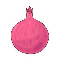 Illustration of onion vector