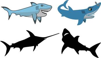 Set of Shark Silhouette and Color illustration on White Background. vector