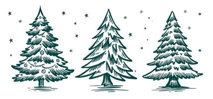 Christmas tree hand drawn illustration vector