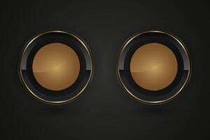 Set of two Luxury Black circle buttons with golden frame illustration. 3d glossy elegant design for empty label, emblem, medal or badge, shiny and gradient light vector