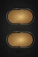 TWO Luxury special rectangle shapes gold and black for a bold, for chart info and Two minimalist approach, emphasizing vector