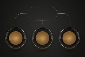 A group of chart i circles Luxury Black circle buttons with golden frame illustration. and 3d glossy elegant design for empty label, emblem, medal symbols design vector