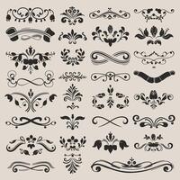 A set of decorative elements and designs vector
